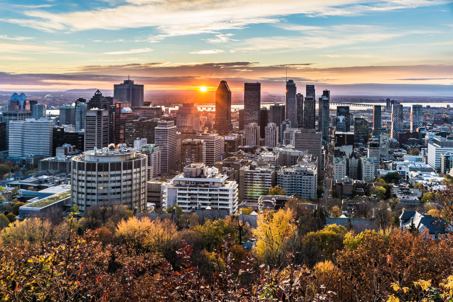 montreal.jpeg